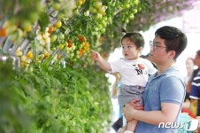 “4년 만에 돌아온 ‘퇴촌 토마토 축제’ 오세요”