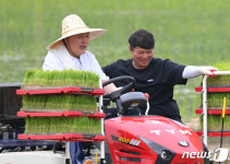 [뉴스1 PICK] 일일농부로 변신한 윤 대통령, 농민들과 막걸리 새참