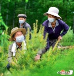 북한 나무모 관리에 성실한 땀 바쳐야…조경 조성 부각