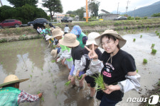 잘 자라 맛있는 쌀이 돼 주렴…고사리손 모내기 현장 웃음바다