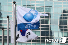 금감원 쿠팡페이 자금세탁 방지…빅테크들, 전문 인력 충원 추진도