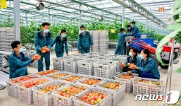 북한, 연포온실농장 성과 선전…원수님의 은덕 때문
