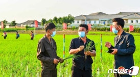 북한 영농사업에 총력 집중…다수확 열의 강조