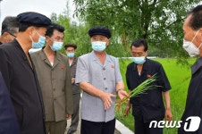 김덕훈 北내각총리, 철도차량공장·농장·건설장 등 현장 점검