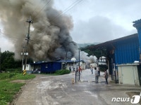 전남 보성 축사 화재…돼지 650마리 폐사, 3억원 재산피해