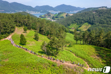 경남 남해 바래길 여행만족도 97.9%…인기 코스는 고사리밭길
