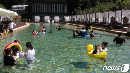 댕댕이랑 수영장 가요…강아지숲 네이처풀 개장에 애견인 주목