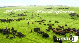 북한 복받은 대지, 수령님이 기뻐하실 것