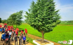 노동신문 수령의 영도 업적을 알곡 증산으로 빛내자