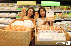 자연방사 유정란 맛보세요