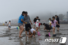 '전국 궂은 날씨에도'…국립공원·해수욕장·캠핑장 '북적'(종합)