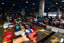 휴가철 특수 기다리는 죽도어시장