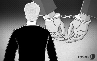 가정폭력 현행범 체포된 70대, 지구대 연행 중 극단 선택(종합)