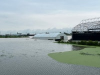 350㎜ 장대비 천안 산방천 동리교 제방 유실…안성천 범람