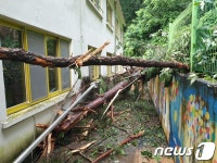 나흘간 300㎜ 내린 강원서 학교 일부 시설 등 지역 곳곳 피해