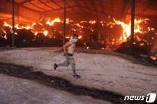 [포토] 삽시간에 무너지는 농장…중부 그리스 산