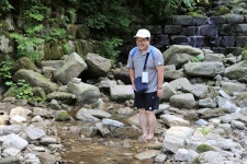 초록빛에 눈과 마음을 씻는다…숲으로 떠나는 피서