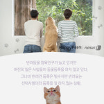 정말 사랑하는 가족이라면…동물등록으로 지켜주세요[펫카드]