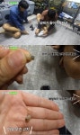 기안84, 양말서 나온 구더기 바지에 쏙…덱스 집에 버릴 수 없어