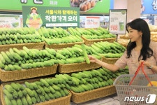 롯데마트, 10~12일 총 14개점에서 착한 가격 오이 판매