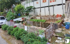 ‘쓰레기 몸살’ 용인 신갈 국·공유지 널찍한 주차장 변신…90대 수용