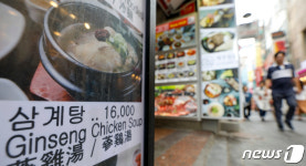 말복 닭고기 1년전보다 8% 비싸다…삼계탕은 1만6천원대