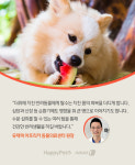 반려동물 지치게 하는 무더위, 탈수 증상 해소법은[펫카드]