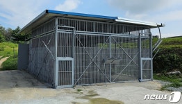 고령 농장 암사자, 청소하는 사이 열린 문으로 탈출…새끼때부터 사육