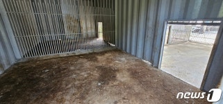 사설 농장서 16년간 사자 키워?…개인이 맹수 못키우도록 법 고쳐야