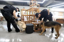 대구시청 산격청사 수색하는 경찰특공대와 탐지견
