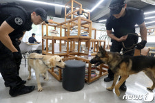 대구시청 산격청사 수색하는 경찰특공대와 탐지견