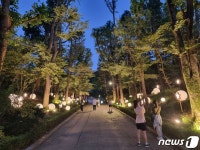 관악구, 낙성대공원 내 별빛산책길 새롭게 단장