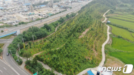 여수시 국가산단 대체녹지서 발암물질 비소·불소 기준치 초과 검출