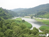 진천 미호강·백곡천에 원앙·참매·수달·삵 함께 산다
