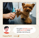 강아지 발바닥 꼬순내, 마냥 좋다?…건강 관리 방법은[펫카드]