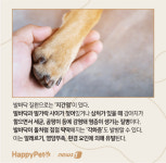 강아지 발바닥 꼬순내, 마냥 좋다?…건강 관리 방법은[펫카드]