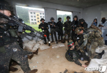 한·미가 힘 합쳐 대항군 제압