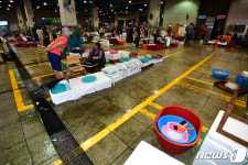 썰렁한 죽도어시장