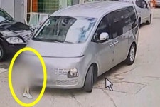 3살 여아 앞에있는데 그대로 출발…