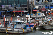 한산한 포항 죽도어시장