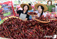 농협유통, 팔도 건고추 특별 판매 나서