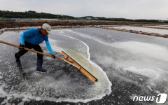 천일염 방사능 검사 염전 전체로 확대…10월까지 마무리