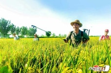 북한, 인민경제 1순위 알곡고지 점령 강조…투쟁정신으로