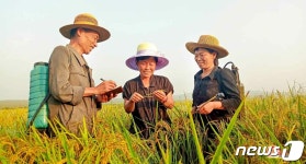 북한, 입덧비료 주기 시작…농업부문 성과 다그치기