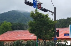 사고 우려 태백 유브리안 APT·양지연립 앞 교통신호기 설치
