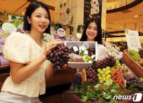 신세계백화점 새콤달콤 포도들이 한 자리에