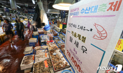 가을 제철 맞아 열린 수산대축제