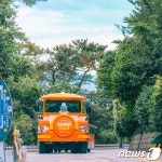 다누비 열차 타고 부산 영도 태종대유원지로 가을여행