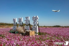 인천공항 하늘정원 코스모스 꽃밭 개장