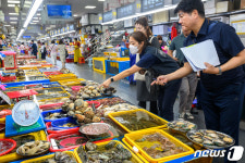 수입 수산물 원산지 표시 특별점검